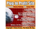 End paycheck woes with FREE ECOMMERGY ecommerce expert training