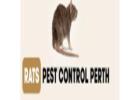 Perth Pest Control Rats