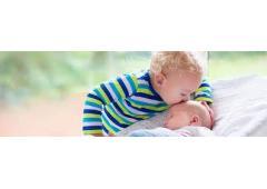 South Tampa live out nannies