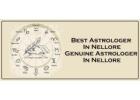 Best Astrologer in Nellore