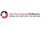 Ants Removal Melbourne