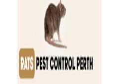 Rodent control Perth