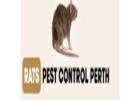 Rodent control Perth