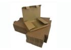 Premium Envelope Packaging Solutions | Packaging Now