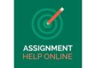 Professional Essay Writing and Online Class Completion Service