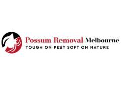 Possum Removal Melbourne