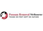 Possum Removal Melbourne