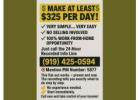 MAKE AT LEAST $325 PER DAY!