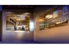 Enthralling Interactive Exhibit Wonders in UAE