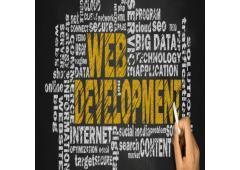 Web Development Services in Ahmedabad