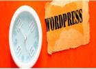 WordPress Development Services in Ahmedabad