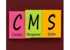 CMS Development Services in Ahmedabad